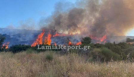 Μεγάλη πυρκαγιά στη Λαμία - ΒΙΝΤΕΟ
