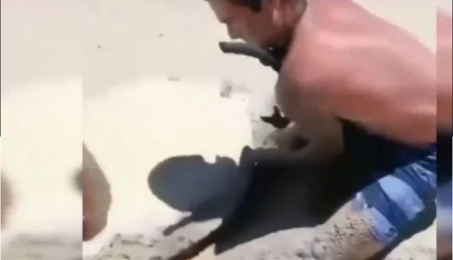 Υπέροχο βίντεο: Πατέρας και γιος σώζουν θαλάσσια χελώνα