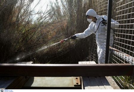 Ψεκασμοί για τα κουνούπια σε όλη τη Στερεά - Έντονο το πρόβλημα σε πολλές περιοχές