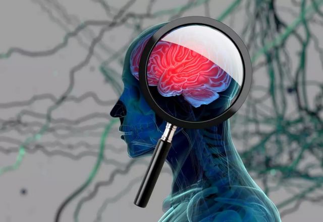 Ένα βήμα πιο κοντά στην εξιχνίαση της λειτουργίας του εγκεφάλου βρίσκονται ερευνητές του ΙΤΕ στο Ηράκλειο