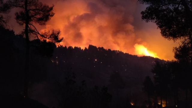 Μιχ. Χρυσοχοΐδης: Η πυρκαγιά στα Βίλια έχει οριοθετηθεί