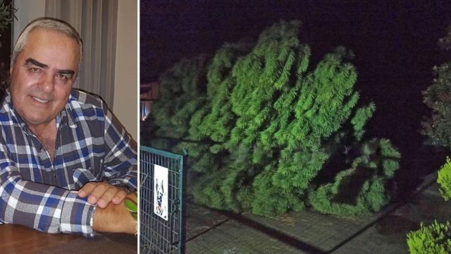 Σέρρες: Αυτός είναι ο 69χρονος που καταπλακώθηκε από δέντρο - Βγήκε στην αυλή για να πάρει το κινητό!