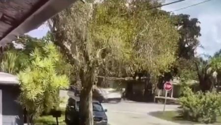 Τρομακτικό τροχαίο στη Φλόριντα: Lamborghini εκτοξεύτηκε 6 μέτρα και κατέληξε σε οροφή σπιτιού (vid)