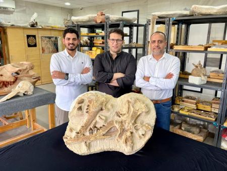 Hesham Sallam - Mansoura University Vertebrate Paleontology Center