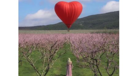 Ένα αερόστατο σε σχήμα καρδιάς πάνω από τις ανθισμένες ροδακινιές της Βέροιας - Εντυπωσιακές φωτογραφίες