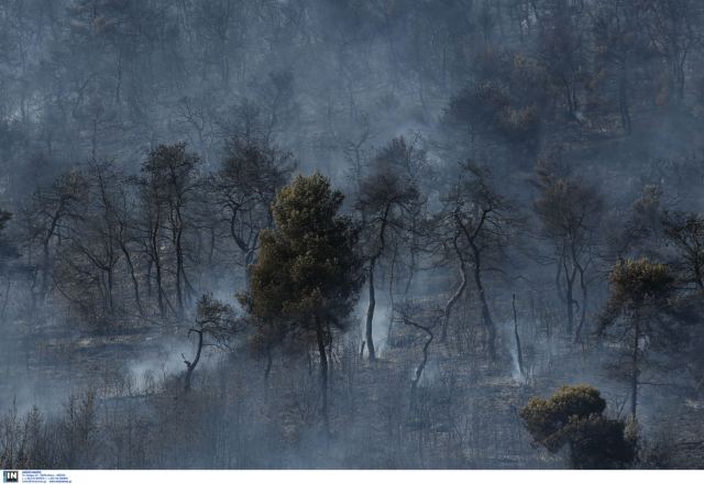 Καλιφόρνια: Εκατοντάδες κάτοικοι εγκαταλείπουν τα σπίτια τους εξαιτίας γιγαντιαίας πυρκαγιάς