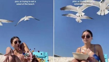Βίντεο: Η… επίθεση από γλάρους ενώ προσπαθούσε να φάει στην παραλία