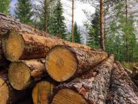 Λιανοκλάδι: Το εργοστάσιο ξυλείας "Πιλάτος Βασίλειος & Υιός" ζητά προσωπικό για την παραγωγή