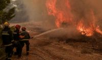 Πυρκαγιά στην Καμηλόβρυση έξω από τη Λαμία
