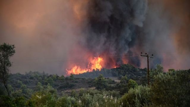 Θεσπρωτία: Εισήλθε σε ελληνικό έδαφος η φωτιά από την Αλβανία