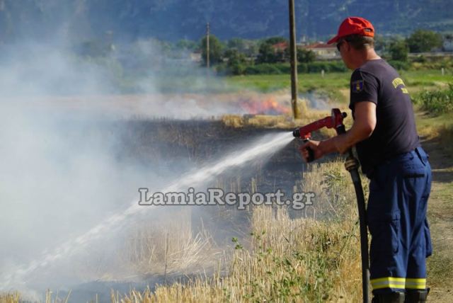 Έτρεχε πάλι η πυροσβεστική για πυρκαγιά σε καλαμιές στη νότια Λαμία