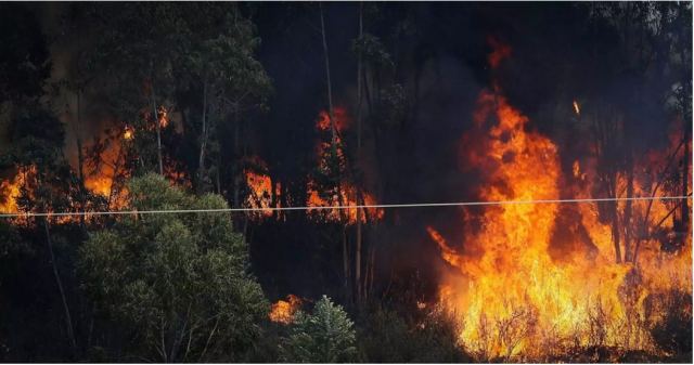 Ισπανία: Μαίνεται η φωτιά στην Ουέλβα – Τουλάχιστον 3.200 άνθρωποι εγκαταλείπουν τα σπίτια τους