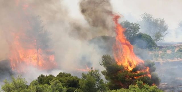 Φωτιά στον Κάλαμο: Επιχειρούν 80 πυροσβέστες, 30 οχήματα και δύο Canadair