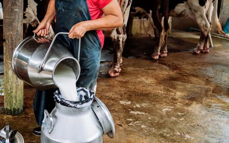 Ίχνη του ιού Η5Ν1 εντοπίστηκαν σε παστεριωμένο αγελαδινό γάλα – Τι λένε οι Αρχές των ΗΠΑ