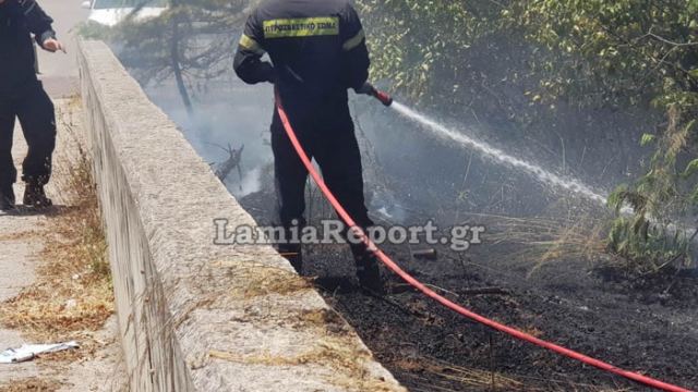 Λαμία: Αυτόφωρο για 55χρονο που έβαλε φωτιά να κάψει χόρτα