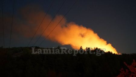 Πυρκαγιά στη Λοκρίδα καίει δασική έκταση (ΒΙΝΤΕΟ-ΦΩΤΟ)
