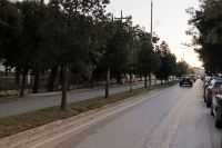 Δήμος Λαμιέων: Εργασίες κλαδέματος δένδρων στην Λεωφόρο Καλυβίων