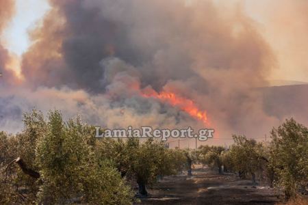 Δείτε εικόνες μέσα από την «κόλαση» της πυρκαγιάς στο Σαράντη