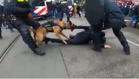 Δείτε βίντεο: Αστυνομικός σκύλος επιτίθεται με μανία σε διαδηλωτή στο Άμστερνταμ