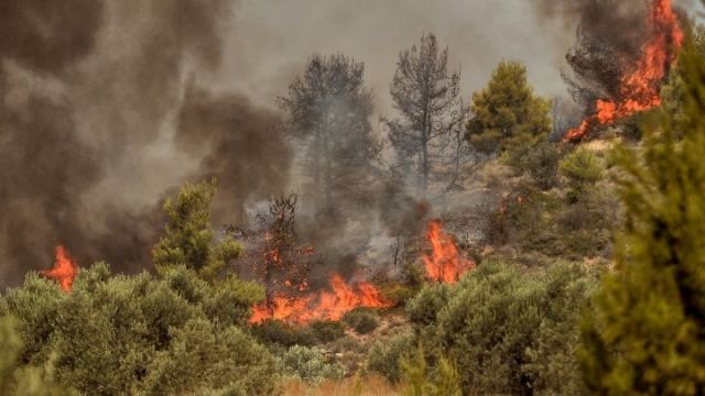 Εξήντα δύο δασικές πυρκαγιές το τελευταίο 24ωρο σε όλη την Ελλάδα