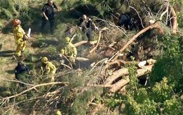 Θρήνος: Δέντρο καταπλάκωσε πυροσβέστη πατέρα 4 παιδιών