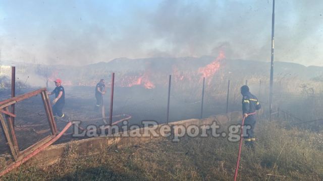Συναγερμός για διάσπαρτες φωτιές στο ΤΕΙ Λαμίας (ΒΙΝΤΕΟ-ΦΩΤΟ)