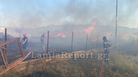 Συναγερμός για διάσπαρτες φωτιές στο ΤΕΙ Λαμίας (ΒΙΝΤΕΟ-ΦΩΤΟ)