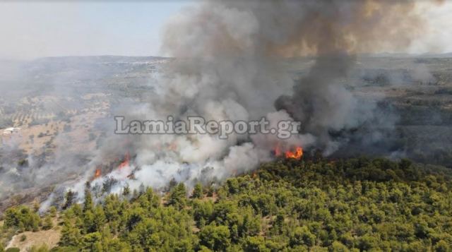 Φθιώτιδα: Μάχη με τις φλόγες σε δύο μέτωπα στο Θεολόγο (ΒΙΝΤΕΟ-ΦΩΤΟ)