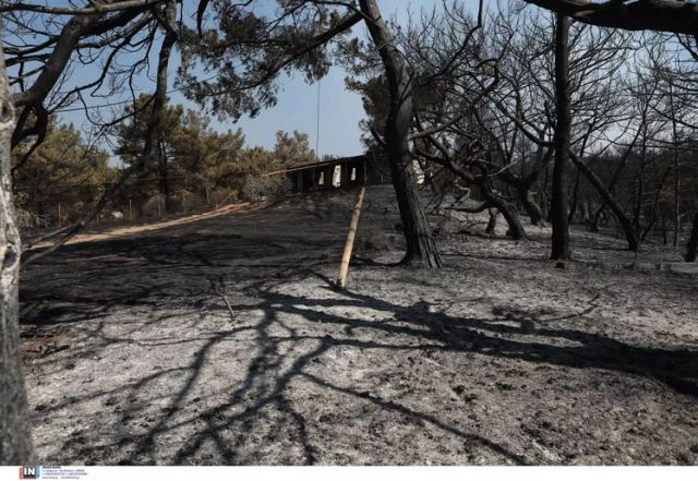 Φωτιά στη Λέσβο: Στρατιώτες δροσίζουν πελεκάνο που είχε καεί στα πόδια