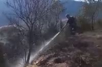 Δύο πυρκαγιές μέσα σε μία ώρα σε Δίστομο και Αράχωβα
