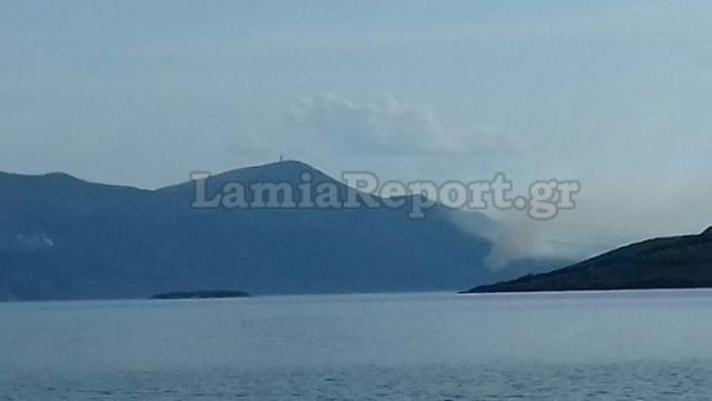 Πυρκαγιά σε πευκοδάσος στη Βόρεια Εύβοια - Σηκώθηκαν αεροσκάφη (ΒΙΝΤΕΟ)