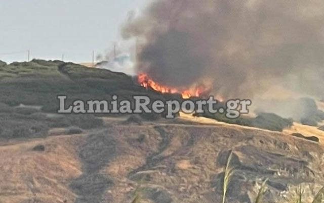 Λαμία: Συναγερμός για πυρκαγιά πάνω από τα Καλύβια - ΦΩΤΟ