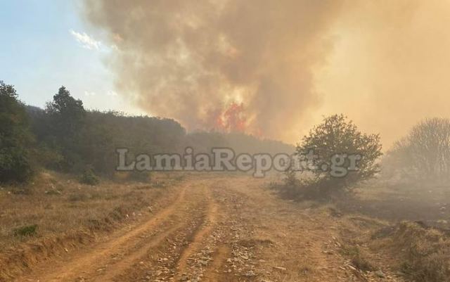 Μάχη με τις φλόγες στο Λογγίτσι - Δείτε ΒΙΝΤΕΟ και ΦΩΤΟ