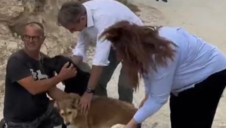 Το TikTok του Μητσοτάκη από την επίσκεψη στο καταφύγιο ζώων στην Ιεράπετρα - «Ο Πίνατ εγκρίνει!»