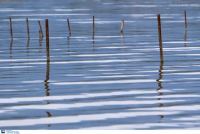 Κακοκαιρία: Υποχωρούν τα νερά της λίμνης Κάρλα – Χωρίς νερό για 13η μέρα ο Βόλος