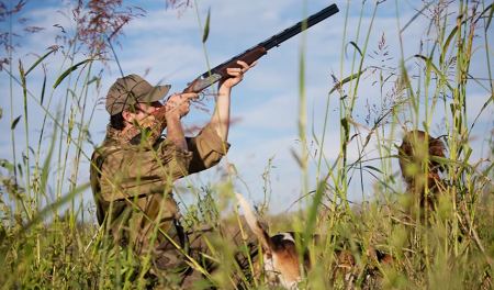 Νωρίτερα ξεκινά φέτος το κυνήγι αγριογούρουνου – Τι επιτρέπεται και τι απαγορεύεται