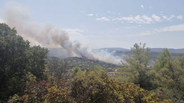 Μεγάλη πυρκαγιά στο Θεολόγο Φθιώτιδας - Εκκενώνεται ο οικισμός ΟΣΜΑΕΣ - ΒΙΝΤΕΟ