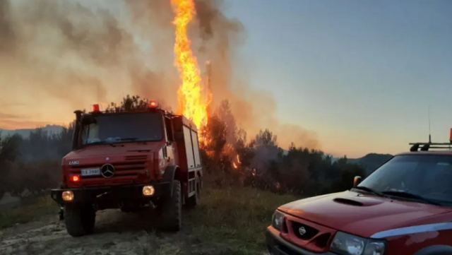 Πυρκαγιές: Τραγωδία στην Κύπρο με 4 νεκρούς - Καταστροφές στην Κεφαλονιά