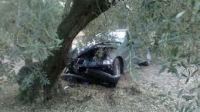 Αυτοκίνητο έπεσε σε δέντρο - Ένας τραυματίας