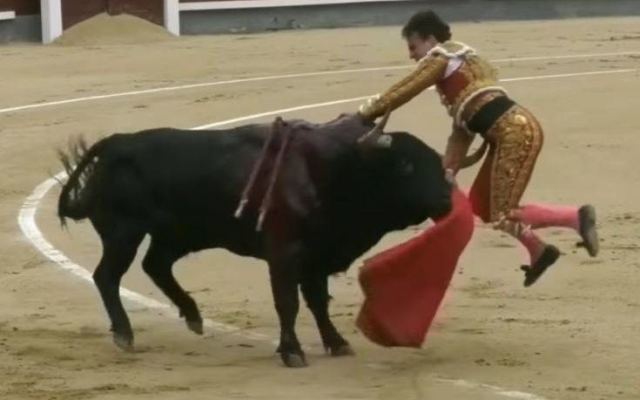Τρομακτικό βίντεο με ταύρο που τραυματίζει σοβαρά ταυρομάχο στην αρένα