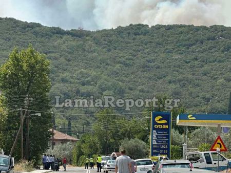 Διεκόπη λόγω πυρκαγιάς η κυκλοφορία στην εθνική οδό Λαμίας - Καρπενησίου (ΒΙΝΤΕΟ)