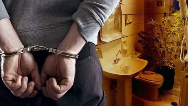 ΓΕΠΑΔ Στερεάς: Συλλήψεις για ληστεία, κλοπές και ναρκωτικά