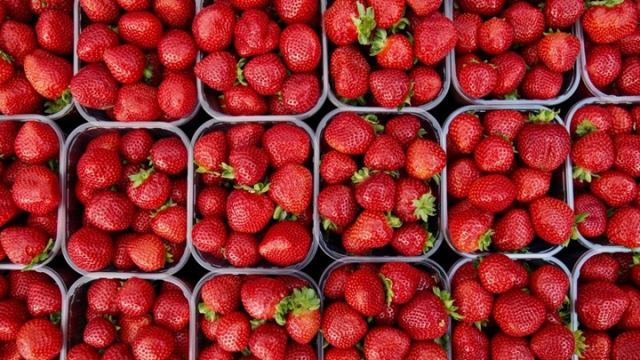 Σε επιφυλακή Αυστραλία και Νέα Ζηλανδία - Εντοπίστηκαν φράουλες με βελόνες