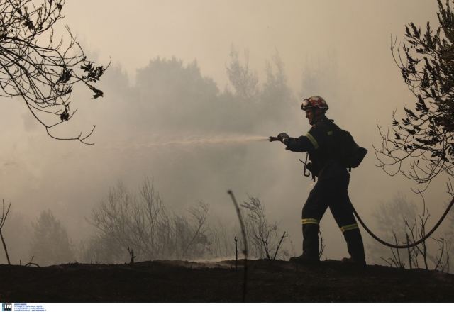 Φωτιά τώρα στην Αίγινα - Άμεση κινητοποίηση της πυροσβεστικής