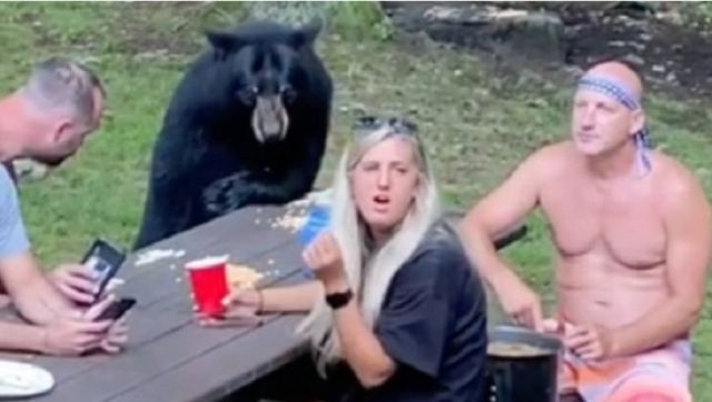 Αρκούδα άραξε με οικογένεια που έκανε πικ νικ, της έδωσαν σάντουιτς με φυστικοβούτυρο