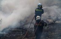 Φωτιά στη Βοιωτία: Στις φλόγες τυλίχθηκε δάσος στην περιοχή Κλειδί