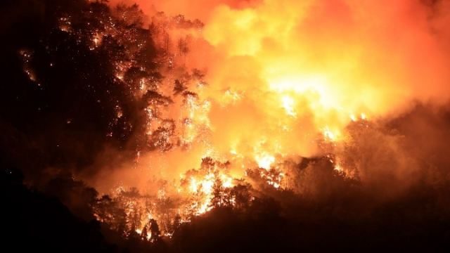 Δύο νεκροί και σημαντικές καταστροφές στις δασικές πυρκαγιές που μαίνονται στη Βουλγαρία