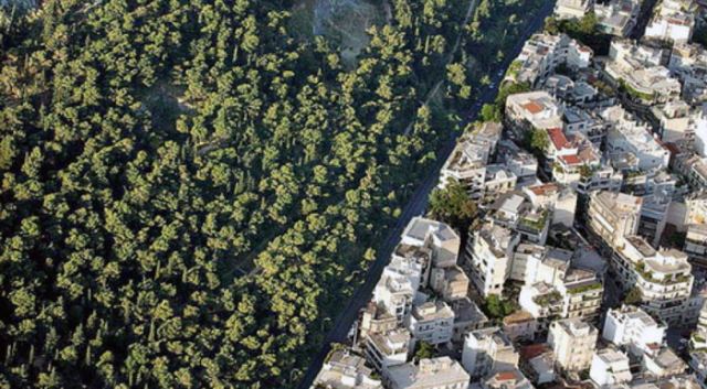 Αποκεντρωμένη Διοίκηση Θεσσαλίας - Στερεάς Ελλάδας: Ανάρτηση δασικών χαρτών