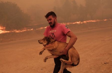 Φωτιά στην Πάρνηθα: Ο Λεωνίδας Ρόδης είναι ο άνθρωπος που έσωσε ζώα μέσα από το πύρινο μέτωπο - Δείτε φωτογραφίες