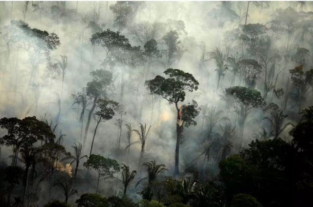 Αυξήθηκαν οι πυρκαγιές στην Αμαζονία – Φόβοι για το μεγαλύτερο τροπικό δάσος του κόσμου